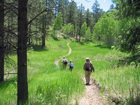 Rainbow Rim Trail