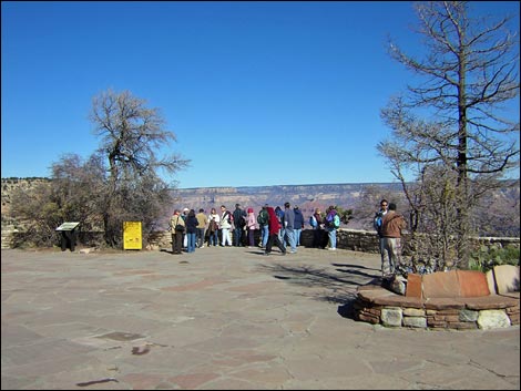 grand canyon condor