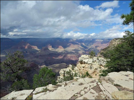 Rim Trail