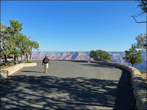 Rim Trail