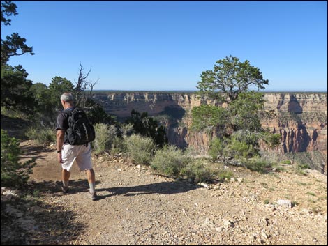 Rim Trail