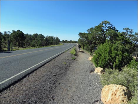 Rim Trail