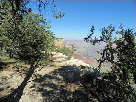 Rim Trail