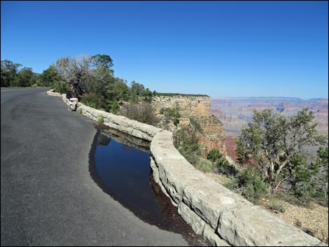 Rim Trail