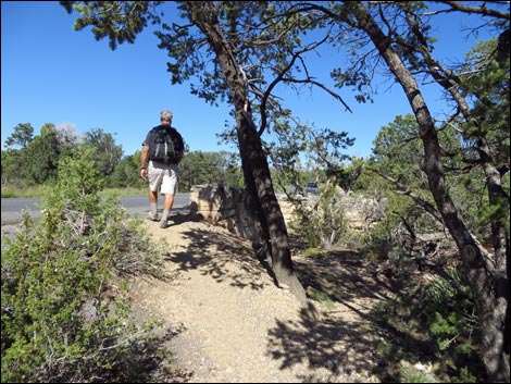 Rim Trail