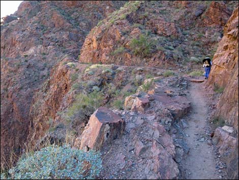 River Trail