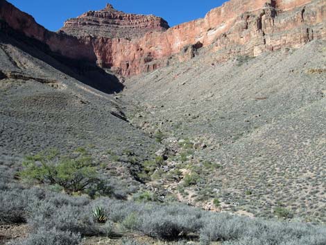 Tonto East Trail