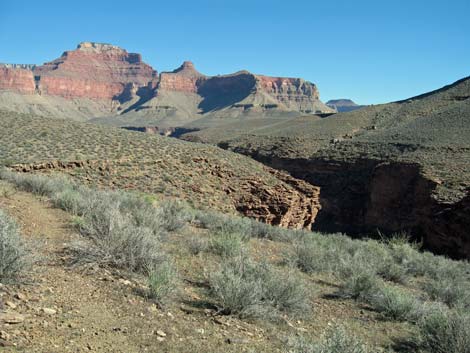 Tonto East Trail