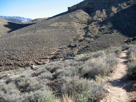 Tonto East Trail