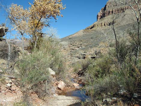 Tonto East Trail