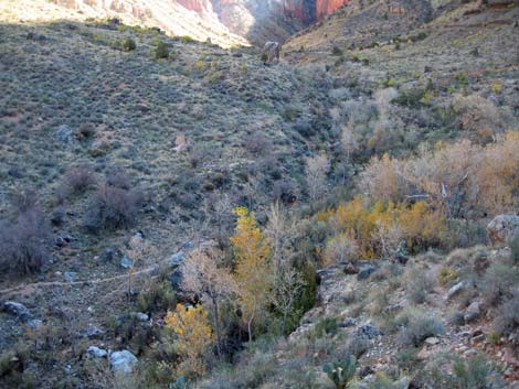 Tonto East Trail