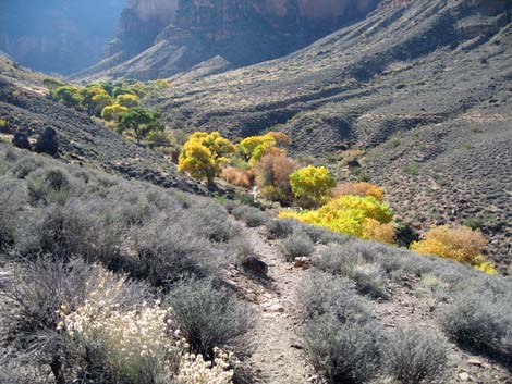 Tonto East Trail