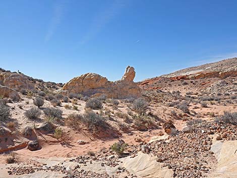 Amber Cat Canyon