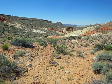 Doodlebug Arch