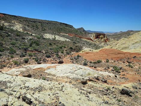 Amber Cat Canyon