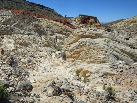 Amber Cat Canyon