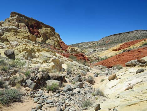 Amber Cat Canyon