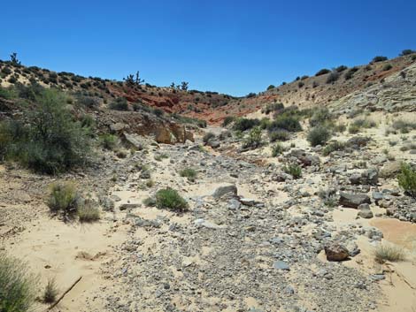 Amber Cat Canyon