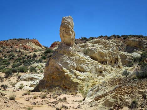 Amber Cat Canyon