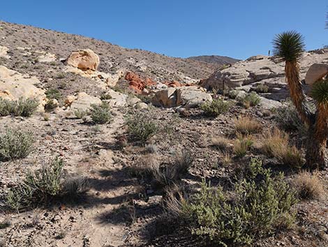 Doodlebug Arch