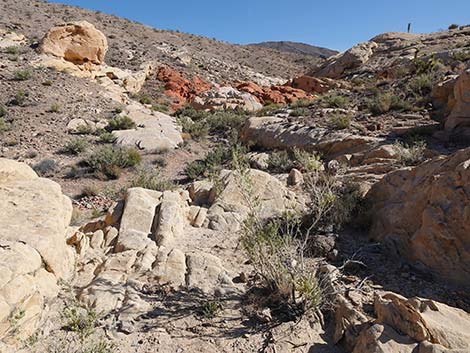 Doodlebug Arch