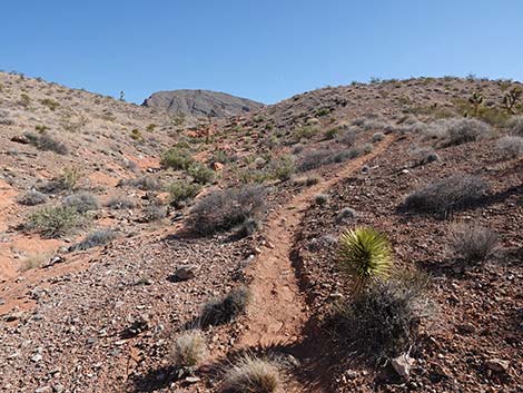 Doodlebug Arch Loop