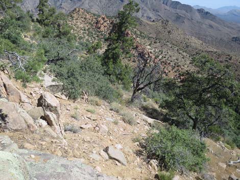 Billy Goat Peak