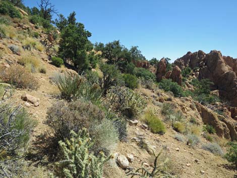 Billy Goat Peak