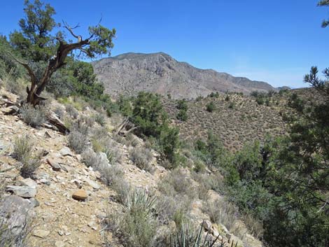 Billy Goat Peak