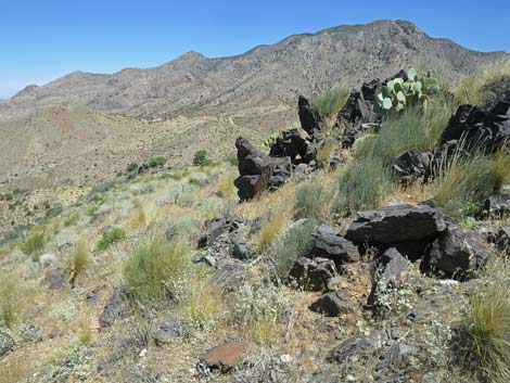 Billy Goat Peak