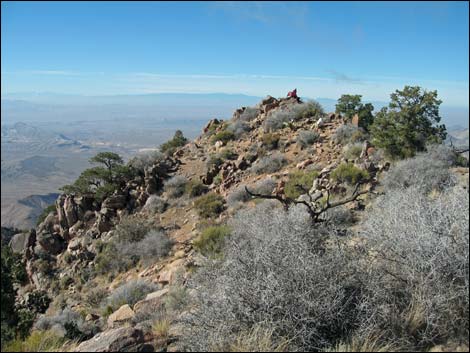 Billy Goat Peak