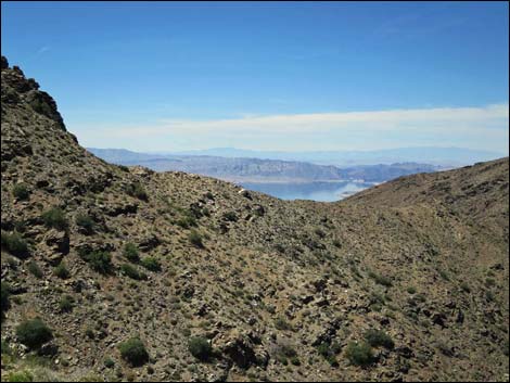 Bonelli Peak