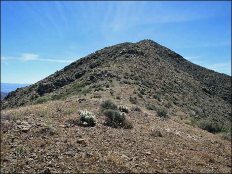 Bonelli Peak