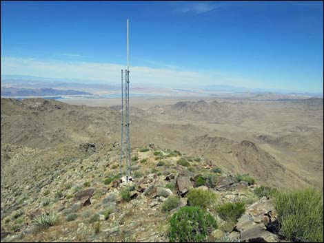 Bonelli Peak