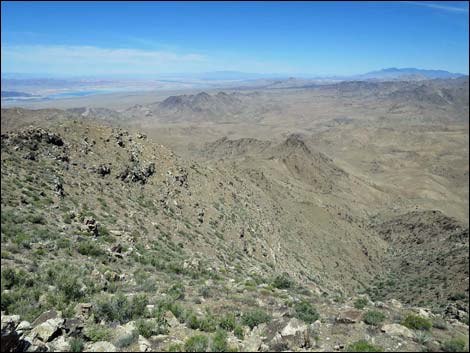 Bonelli Peak