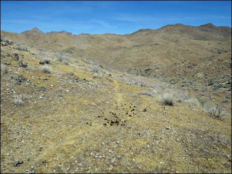 Bonelli Peak