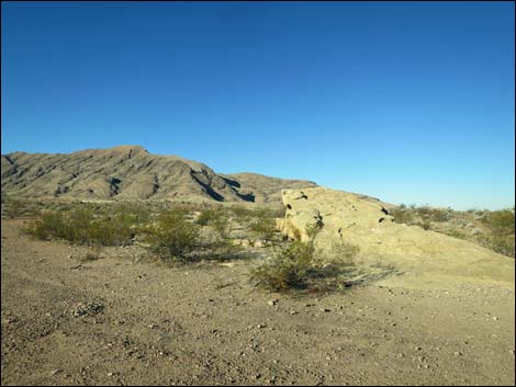 Mud Hills Campsite #2