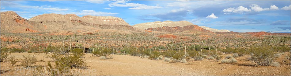 Mud Hills Corral Campsite