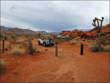 Mud Wash Dunes Campsite