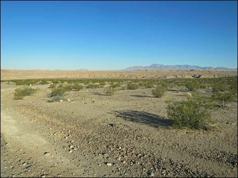 Virgin River Valley Overlook Campsite