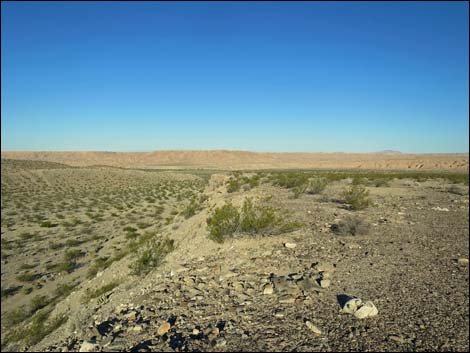 Virgin River Valley Overlook Campsite