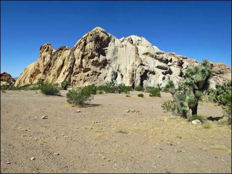 Whitney Pocket Campsites