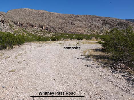 Whitney Pass Road