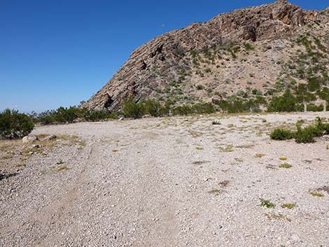 Whitney Pass Road Campsites