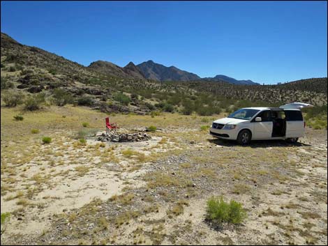 Whitney Pass Road Campsites