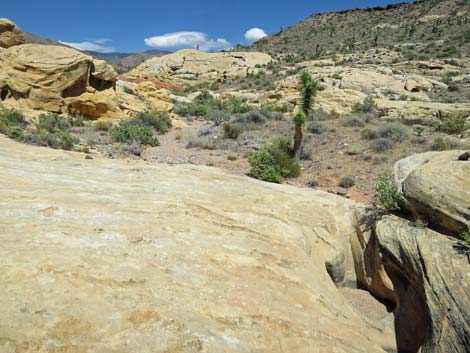 Doodlebug Arch