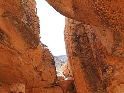 Doodlebug Arch