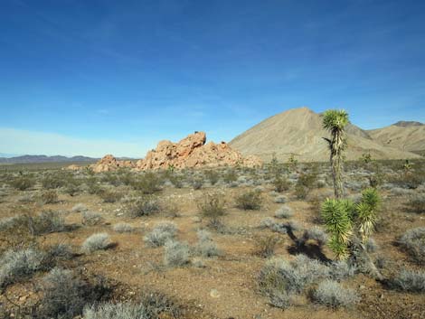 Doodlebug Arch