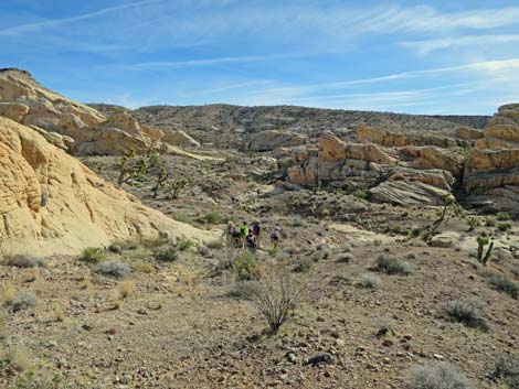 Doodlebug Arch