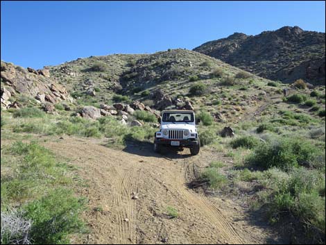 Gold Butte Peak